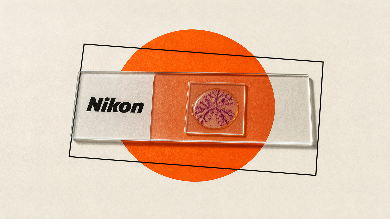 Illustration: Nikon disqualifies its Small World video winner over AI