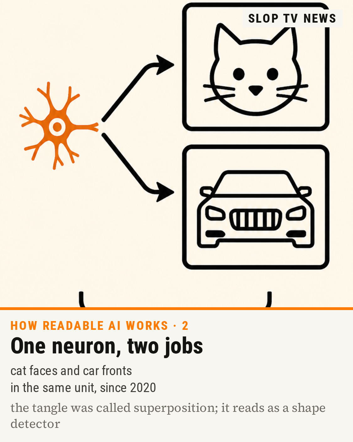 One neuron, two jobs: cat faces and car fronts in the same unit, re-read as a shape detector