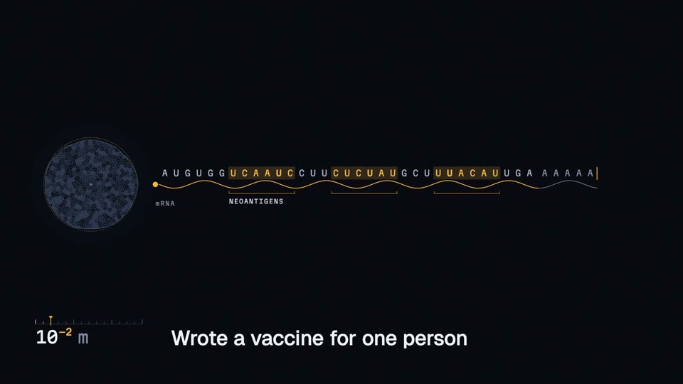 The video's vaccine card: an mRNA sequence, modified nucleotides