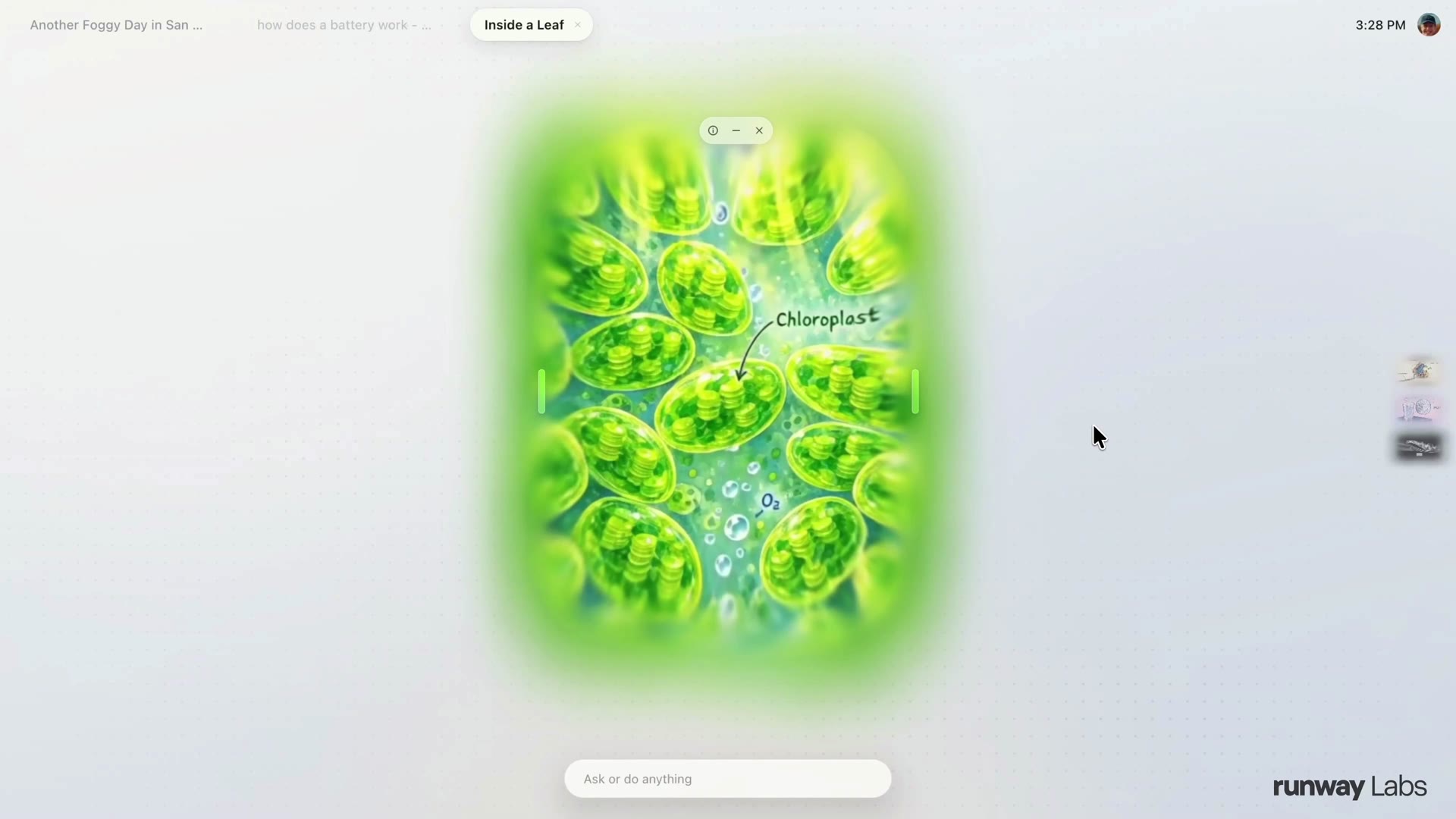 The photosynthesis portal, resized